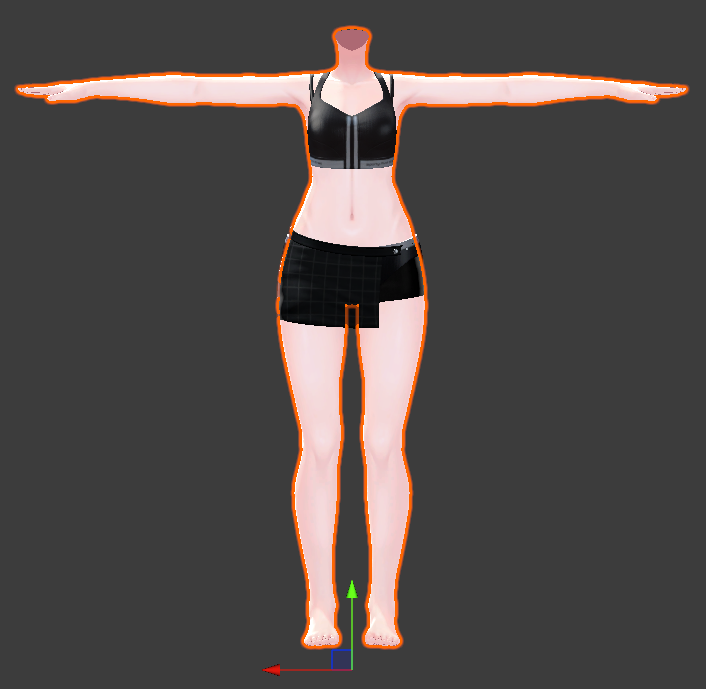 BodyMesh_SampleImage.png